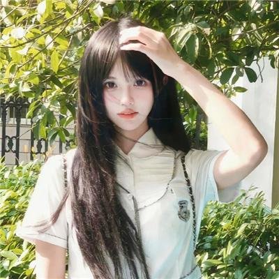 笨人寻春