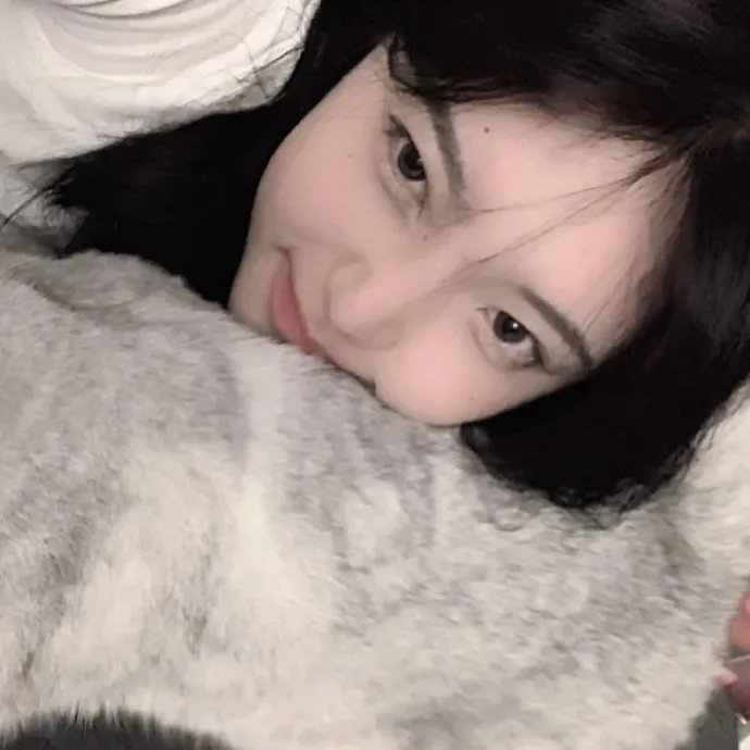七鹰大厦宝藏